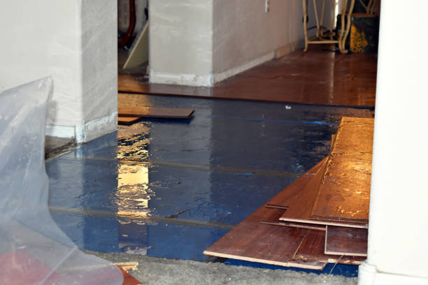 Professional Basement Flood Cleanup technician working in Telford, PA